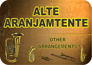 Meniu - Alte Aranjamente